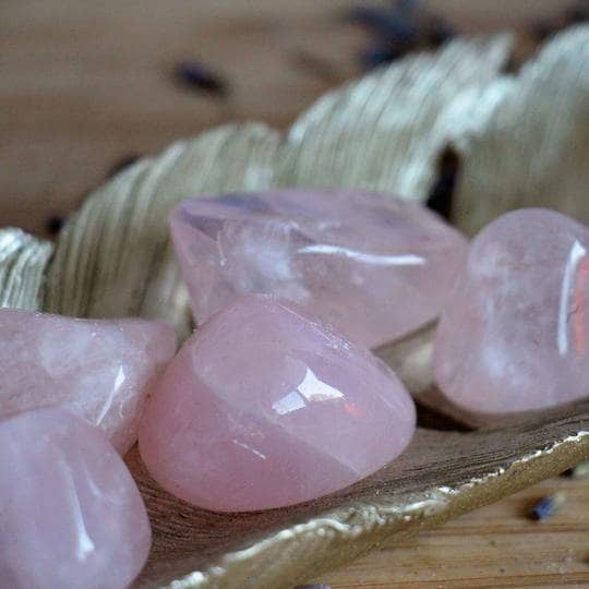 Rose Quartz Tumbles - Small
