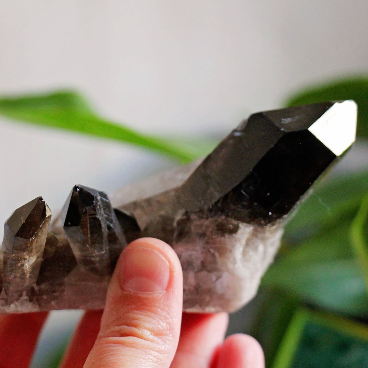 Smoky Quartz Cluster - A Grade - Grounding - Crystal - Gemstone - Natural - Raw - Home Decor - Healing - Energy - #1