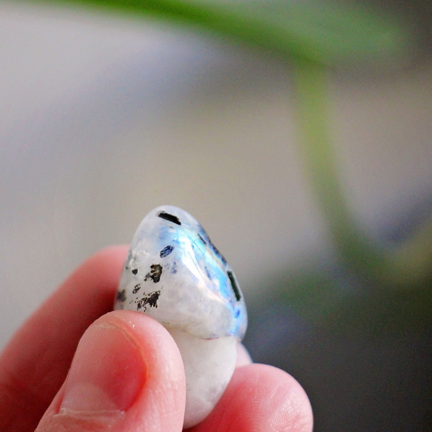 Rainbow Moonstone Tumbles - Tumbled Stone - Polished - Piece - Natural - Cut - Sparkle - Geode - Crystal - Gemstone - Rock - Fertility