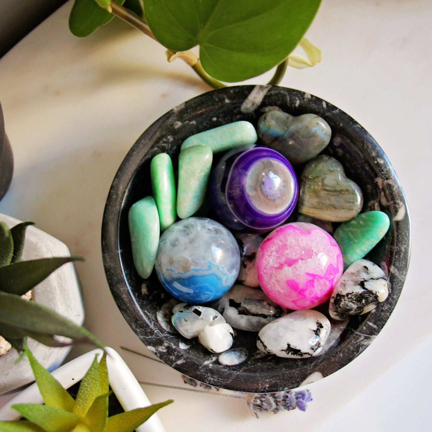 Orthoceras Fossil Trinket Bowl - Altar - Dish - Polished - Gemstone - Crystal - Home Decor - Small