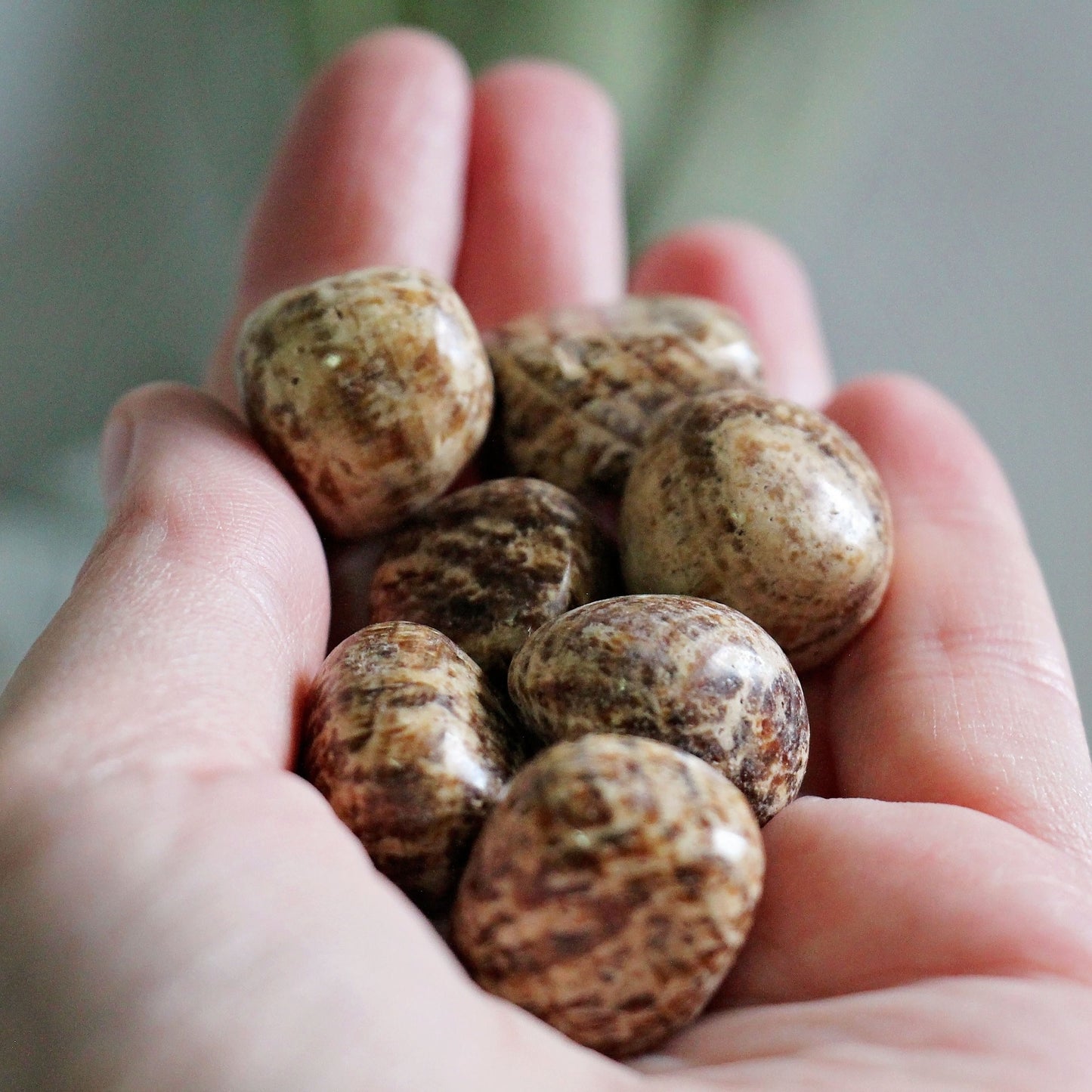 Aragonite Tumbles - Polished - Piece - Crystal - Gemstone - Tumbled - Pocket Size - Travel - Rock - Home Decor