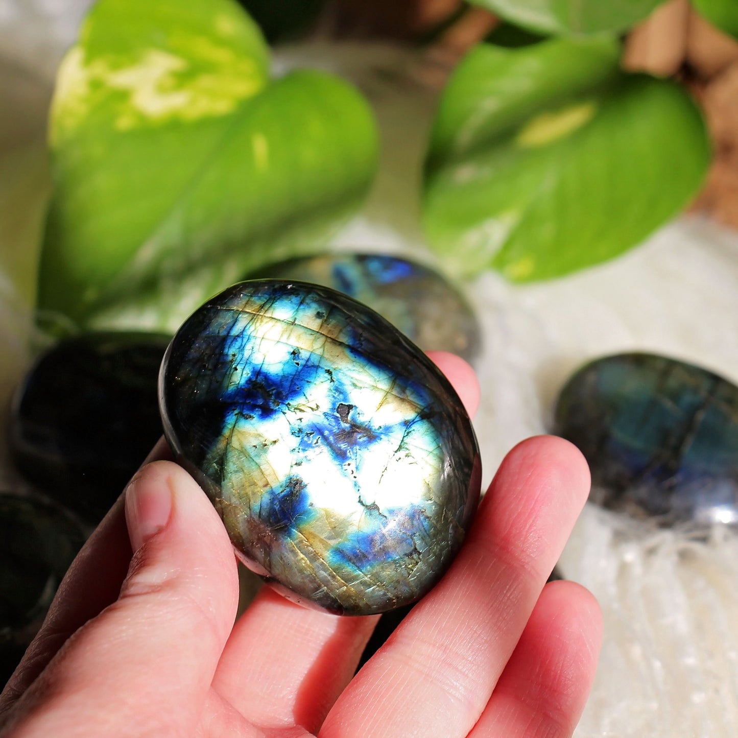 Labradorite Polished Palm Stone - Small