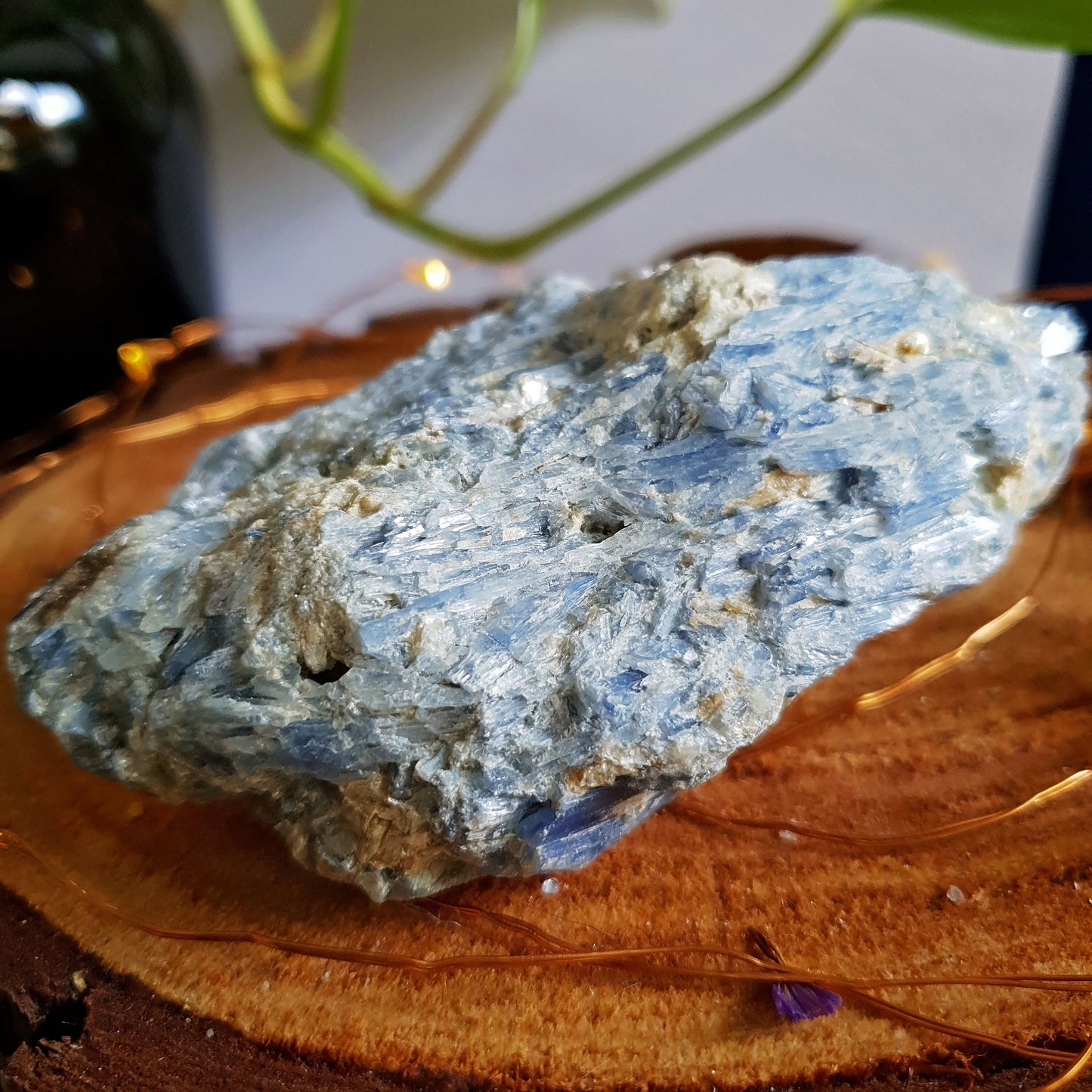 Blue Kyanite Blade Cluster - Raw - Natural - Crystal - Chakra - Gemstone - Chunk - #1
