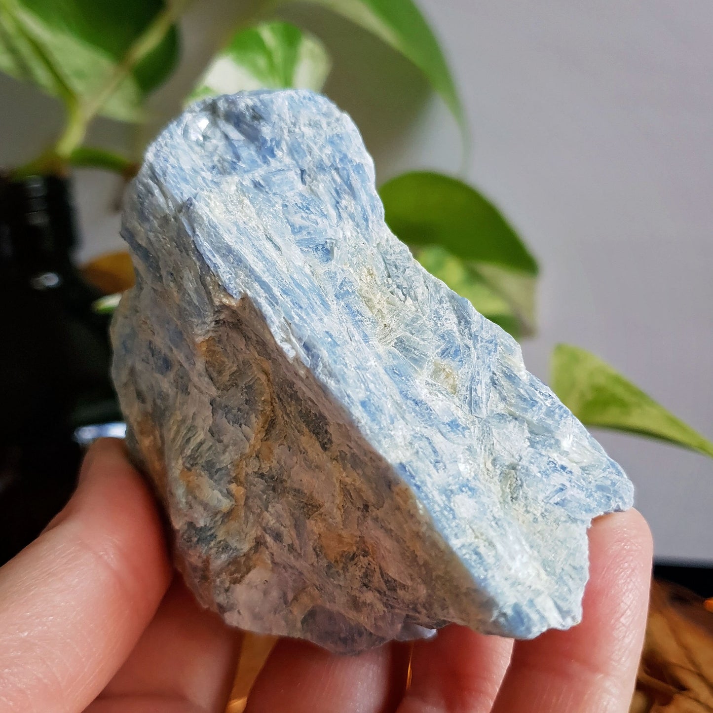 Blue Kyanite Blade Cluster - Raw - Natural - Crystal - Chakra - Gemstone - Chunk - #2