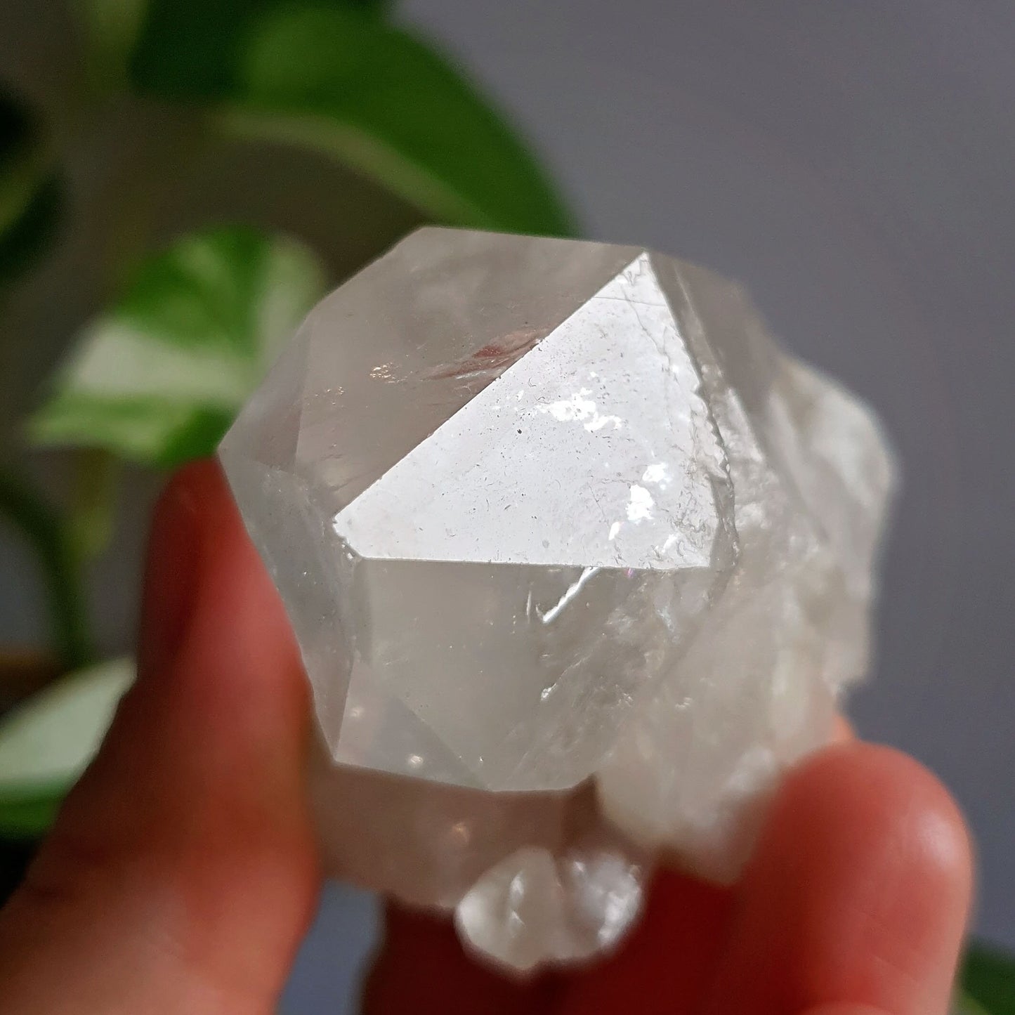 Clear Quartz Cluster #5