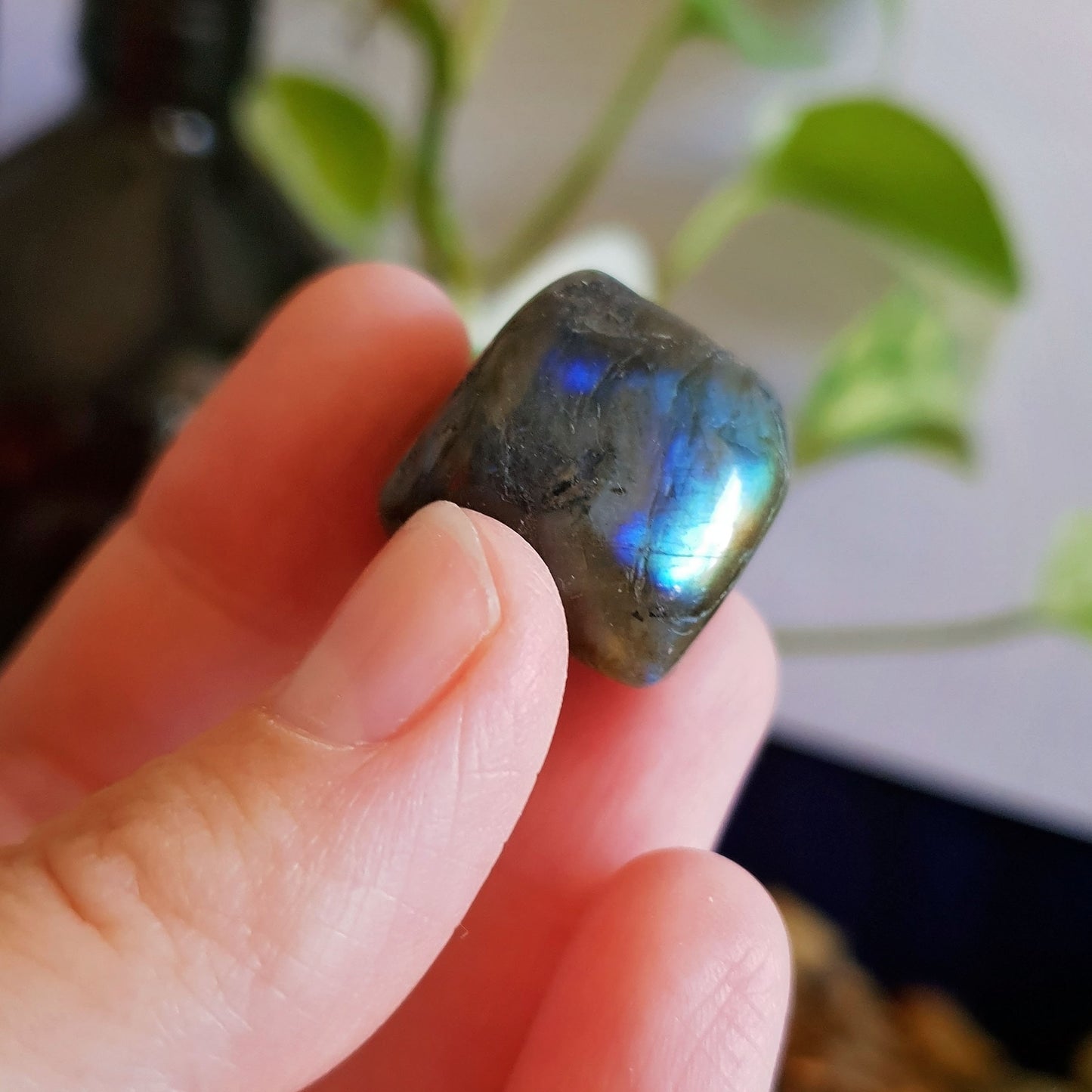 Labradorite Tumbles
