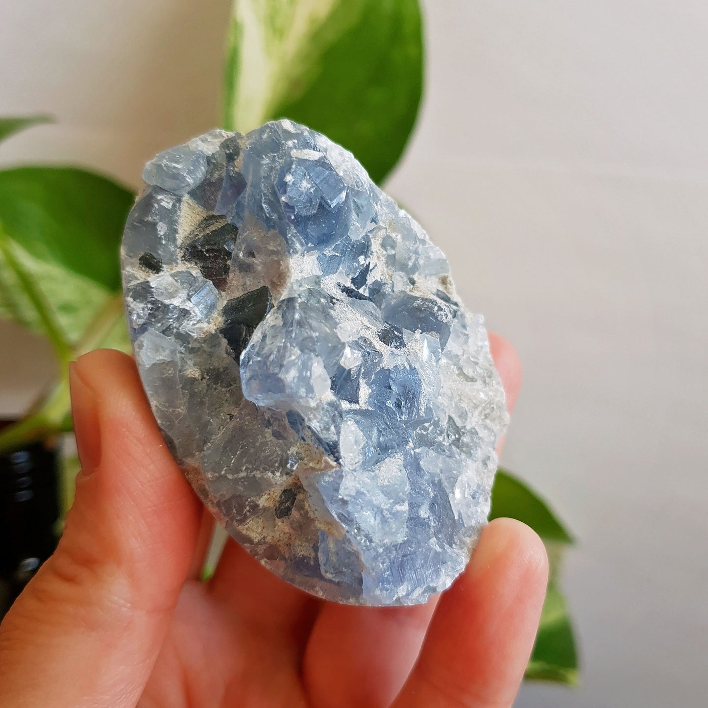 Celestite Cluster - A Grade - Celestine - Geode - Crystal - Gemstone - Blue - Spiritual - Enlightenment - #2