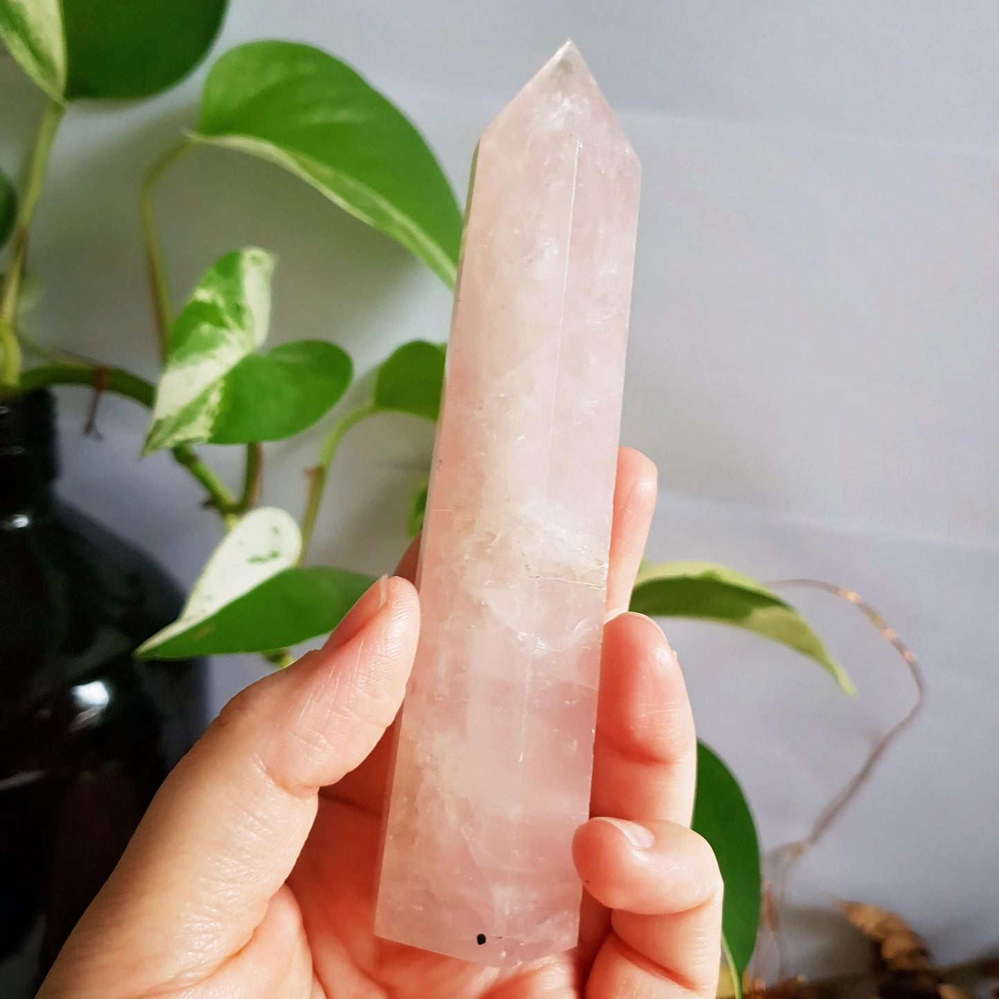 Rose Quartz Polished Point #4