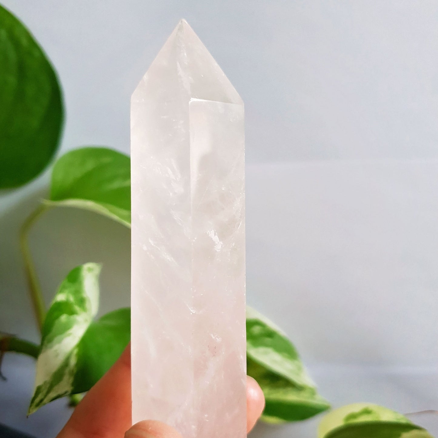 Rose Quartz Polished Point #1