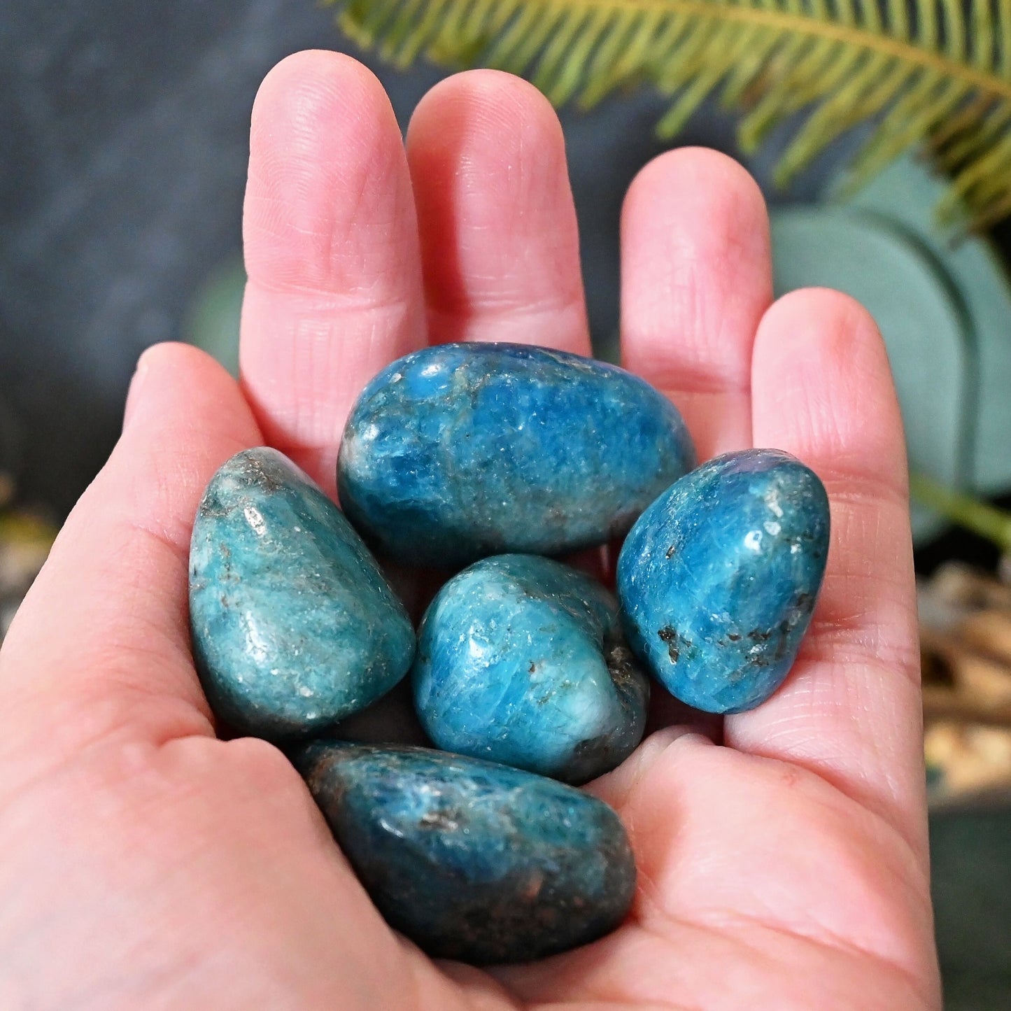 Apatite Tumbles - Small