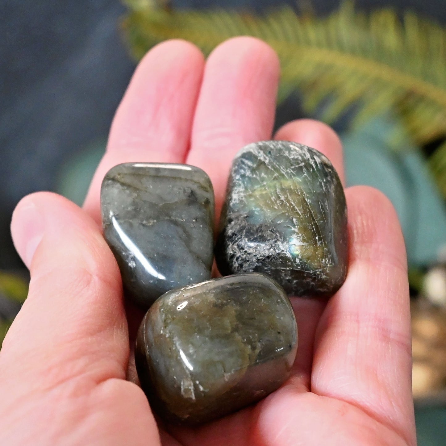 Labradorite Tumbles - Large