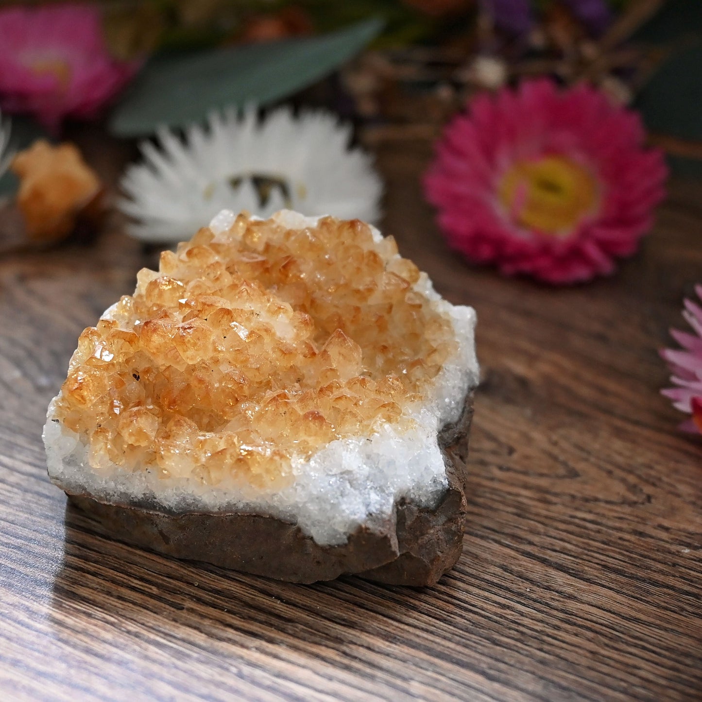 Citrine Cluster #14