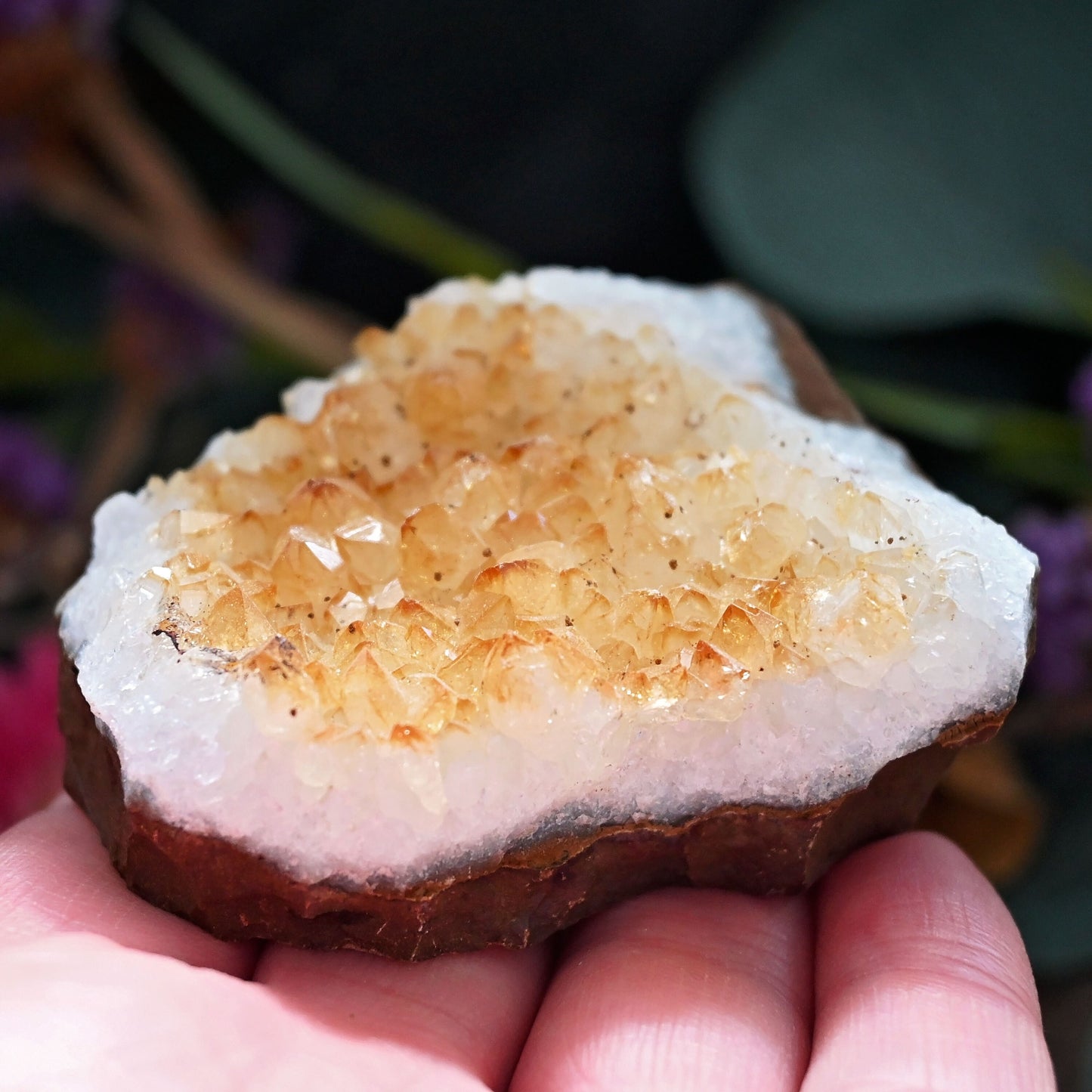 Citrine Cluster #3