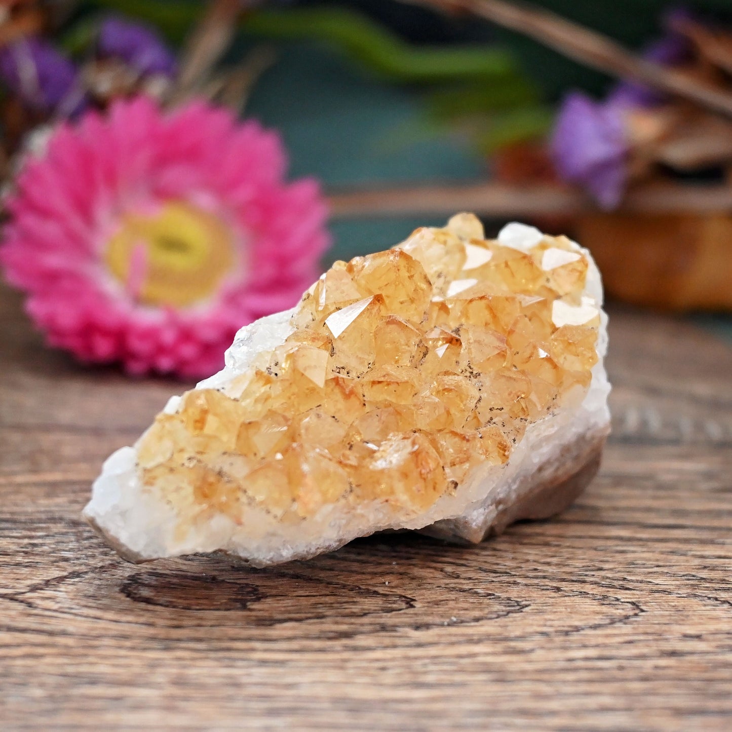 Citrine Cluster #5