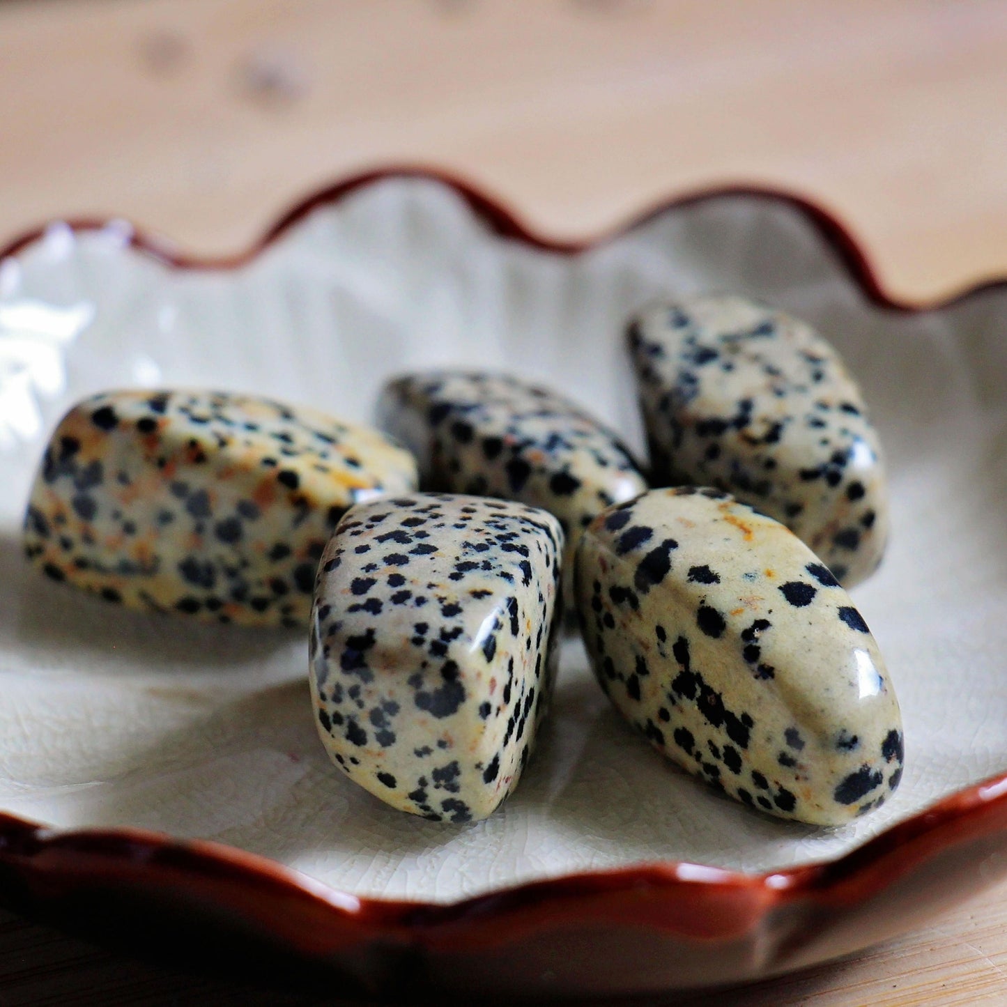 Dalmatian Jasper Tumbles - Polished - Piece - Crystal - Gemstone - Tumbled - Travel - Rock - Home Decor - Spot - Natural