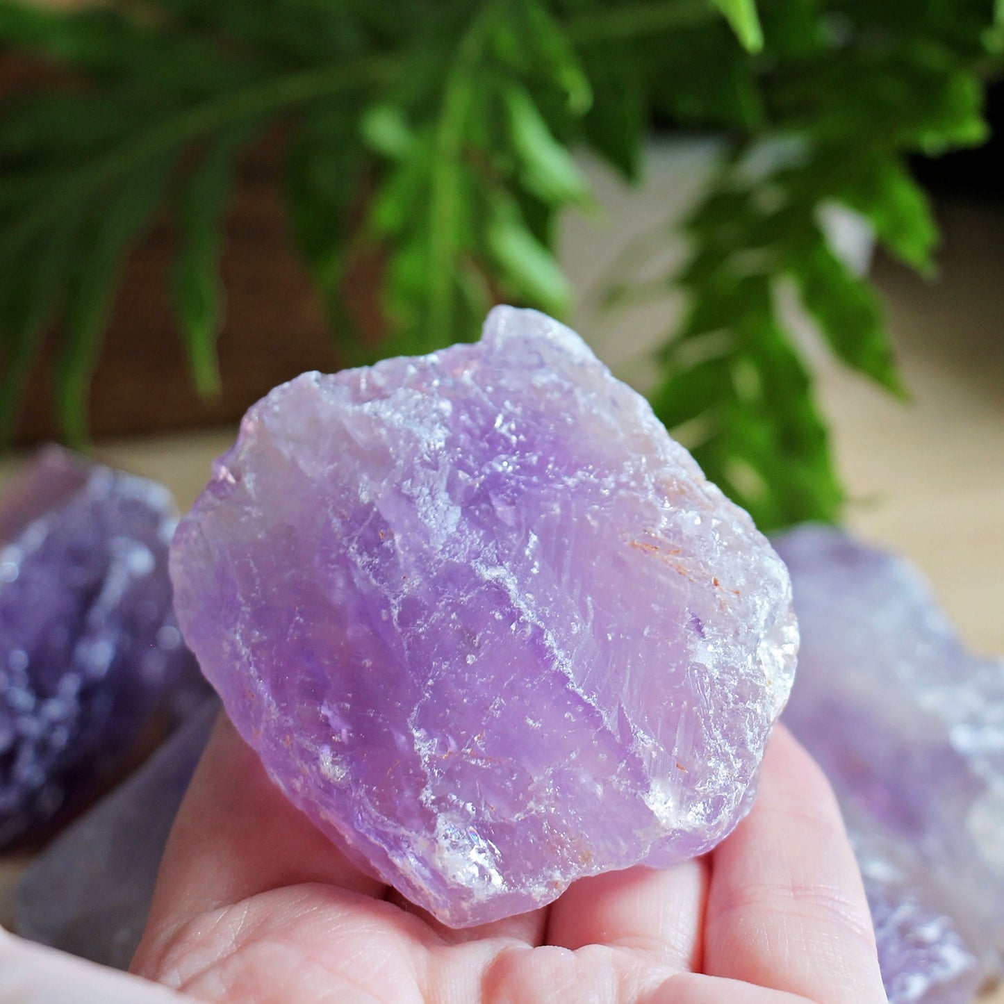 Amethyst - Raw - Medium