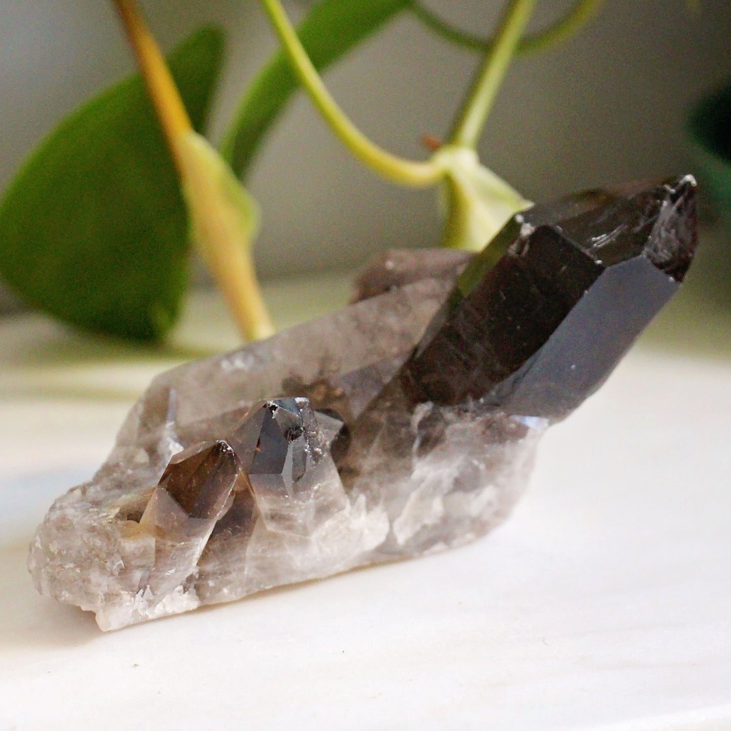 Smoky Quartz Cluster - A Grade - Grounding - Crystal - Gemstone - Natural - Raw - Home Decor - Healing - Energy - #1