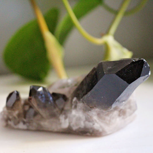 Smoky Quartz Cluster - A Grade - Grounding - Crystal - Gemstone - Natural - Raw - Home Decor - Healing - Energy - #1