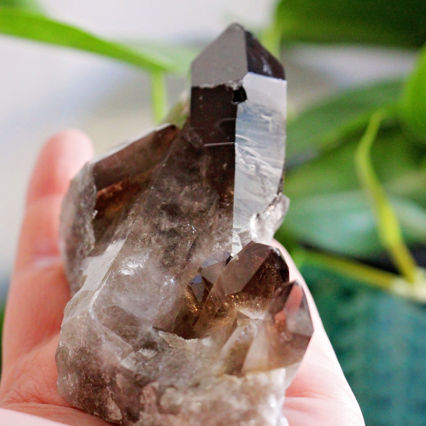 Smoky Quartz Cluster - A Grade - Grounding - Crystal - Gemstone - Natural - Raw - Home Decor - Healing - Energy - #1
