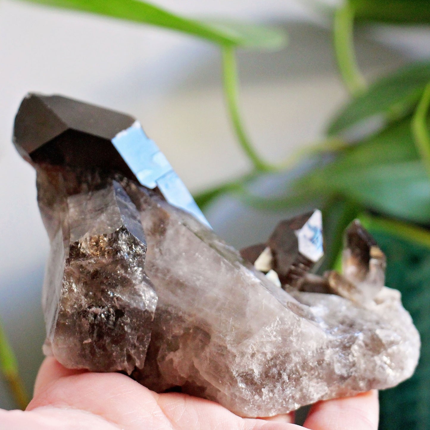 Smoky Quartz Cluster - A Grade - Grounding - Crystal - Gemstone - Natural - Raw - Home Decor - Healing - Energy - #1