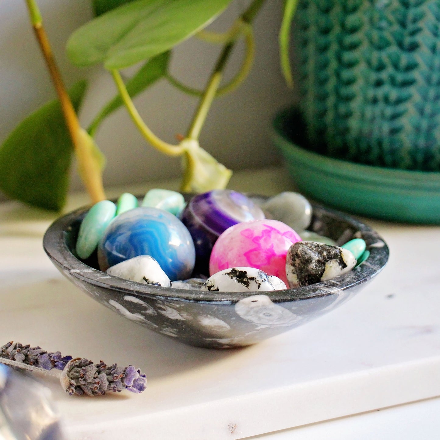 Orthoceras Fossil Trinket Bowl - Altar - Dish - Polished - Gemstone - Crystal - Home Decor - Small