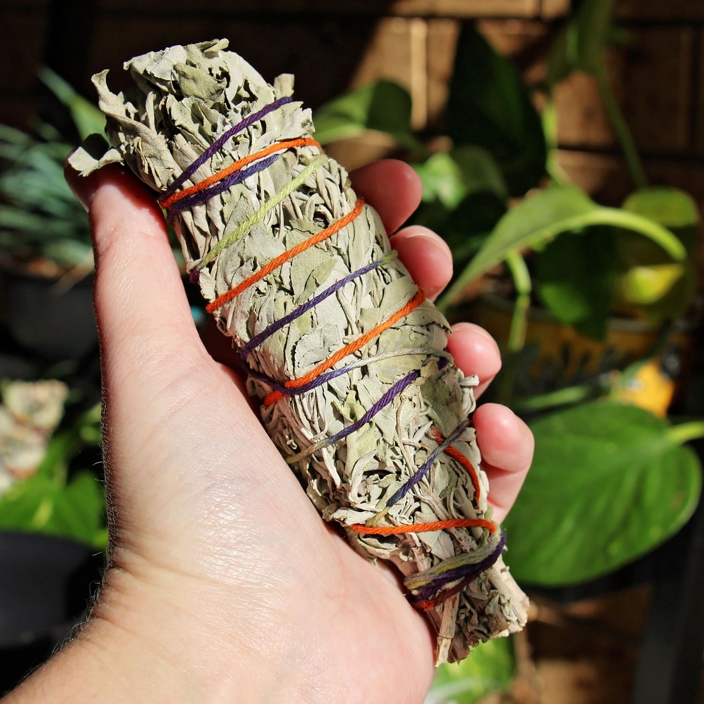 Organic White Sage Smudge Stick - Smudging - Wand - Cleanse - Incense