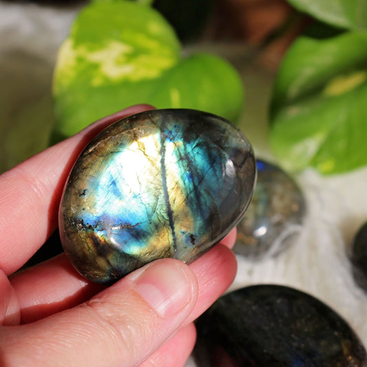Labradorite Polished Palm Stone - Small