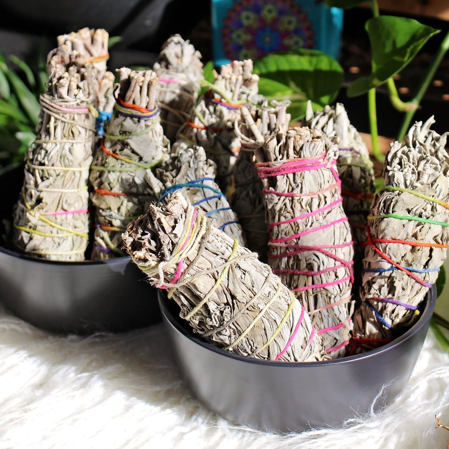 Organic White Sage Smudge Stick - Smudging - Wand - Cleanse - Incense