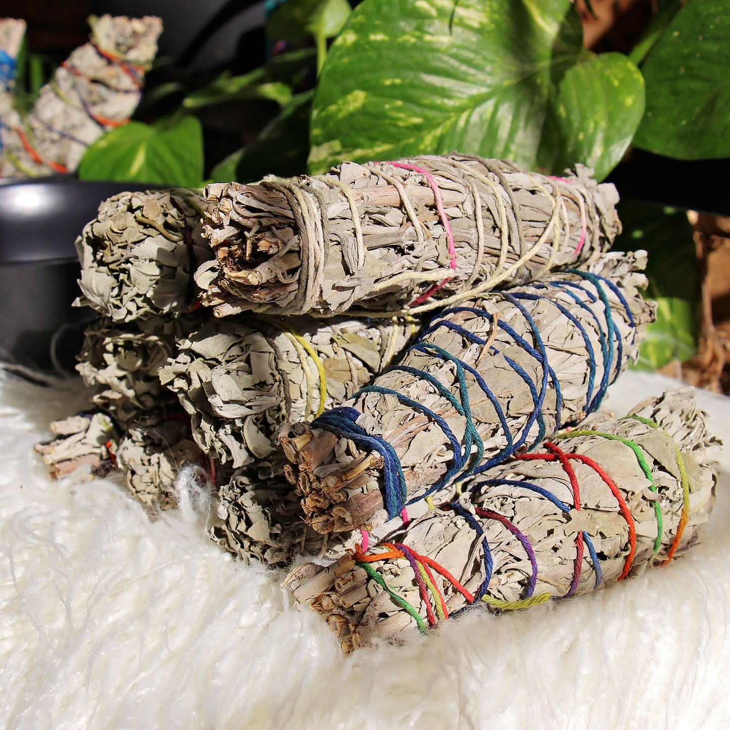 Organic White Sage Smudge Stick - Smudging - Wand - Cleanse - Incense