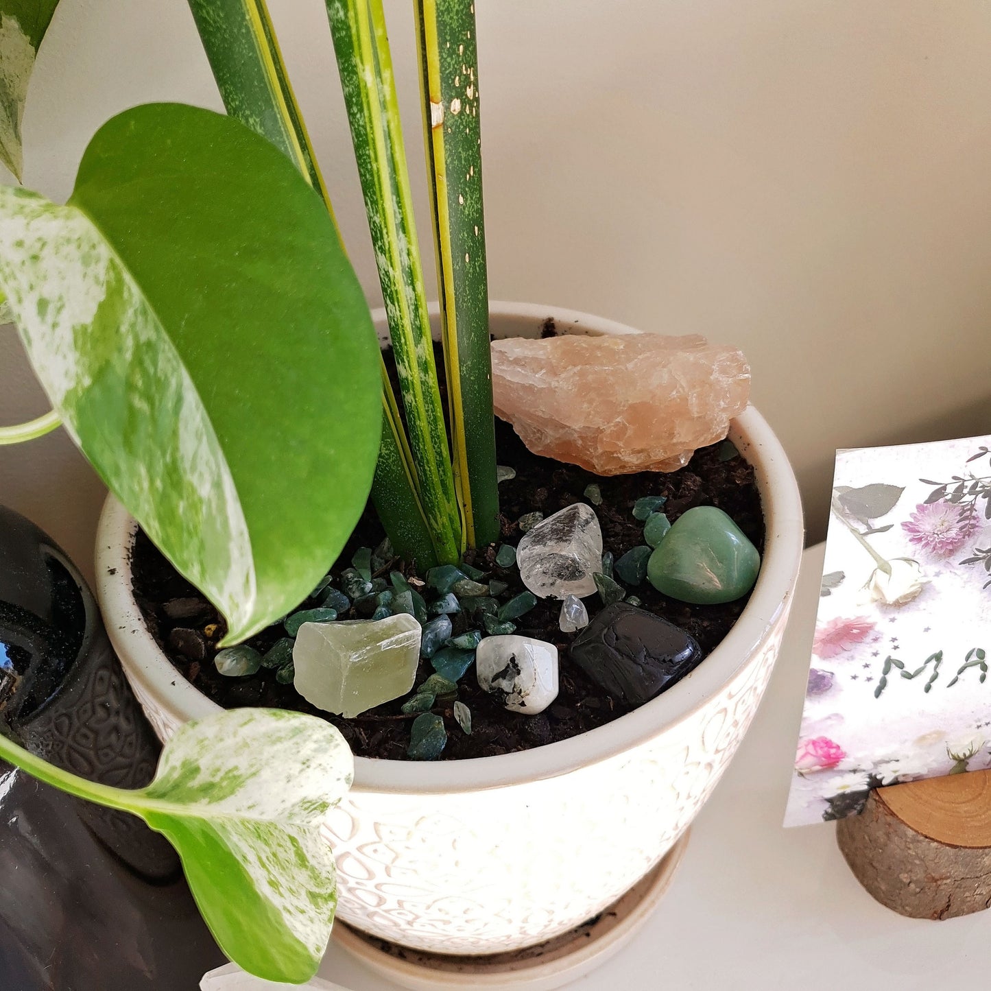 Happy Plant Crystal Pack