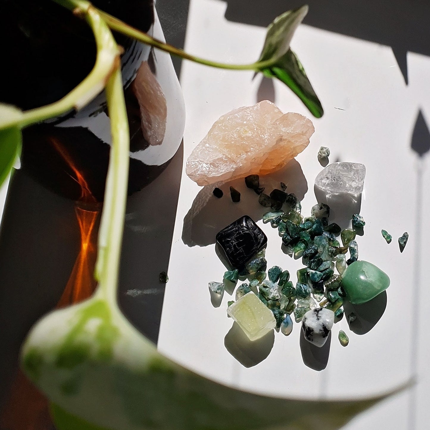 Happy Plant Crystal Pack