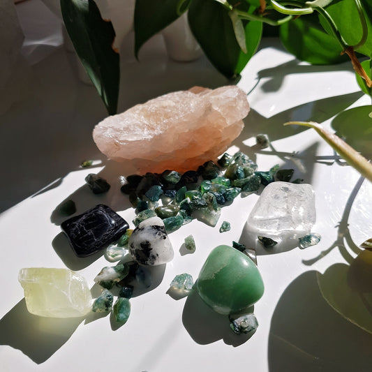 Happy Plant Crystal Pack