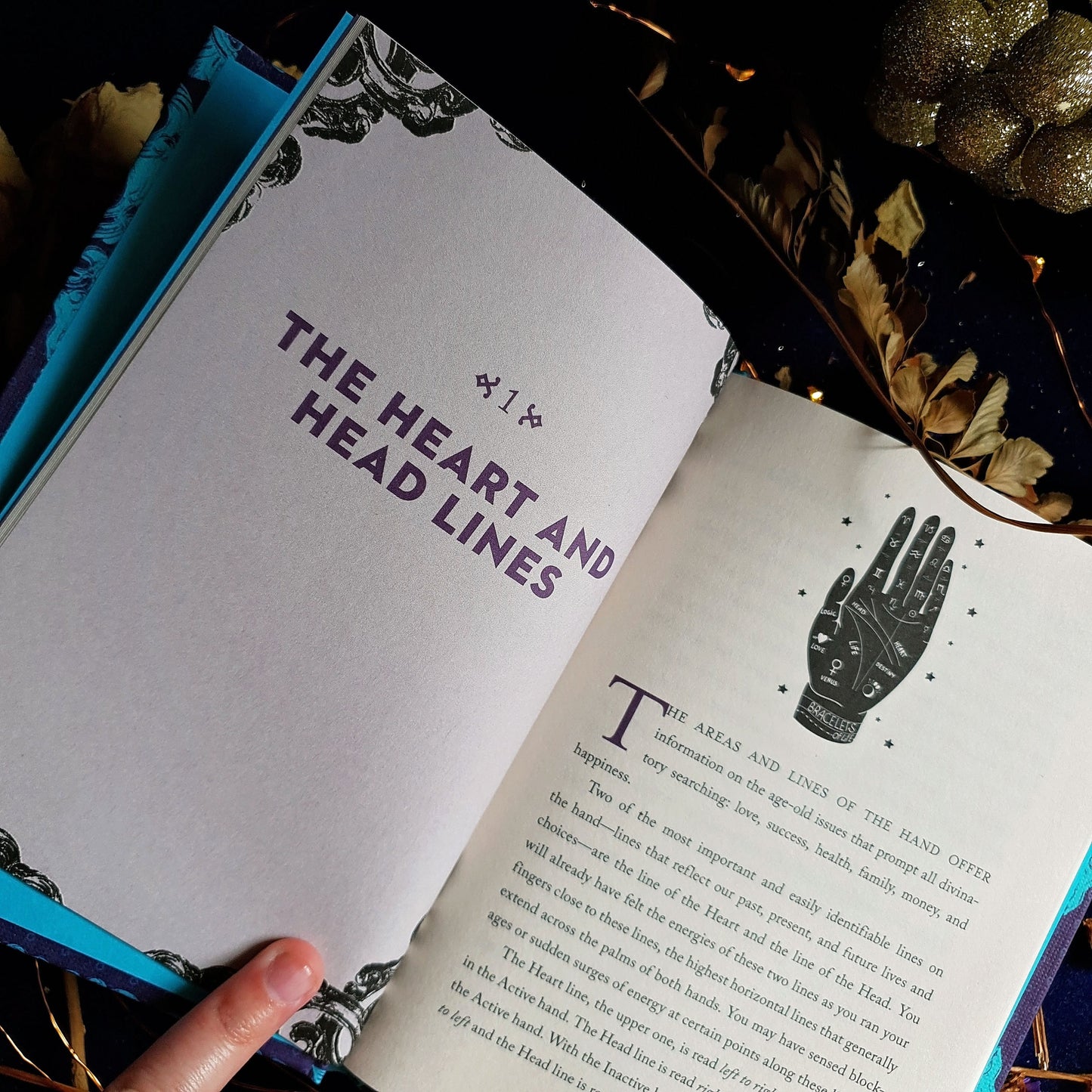 A Little Bit Of Palmistry