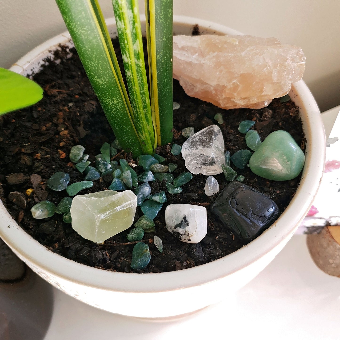 Happy Plant Crystal Pack