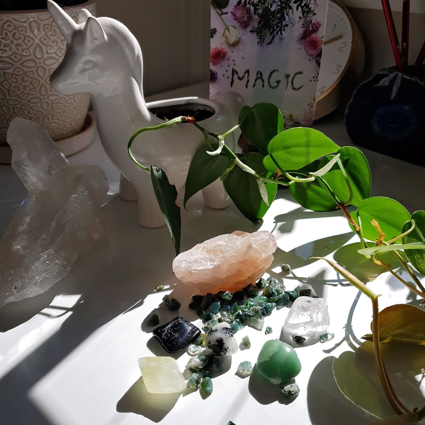 Happy Plant Crystal Pack