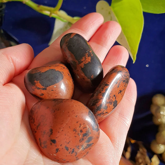 Mahogany Obsidian Tumbles - Tumble Stone -  Polished - Piece - Natural - Crystal - Gemstone - Rock