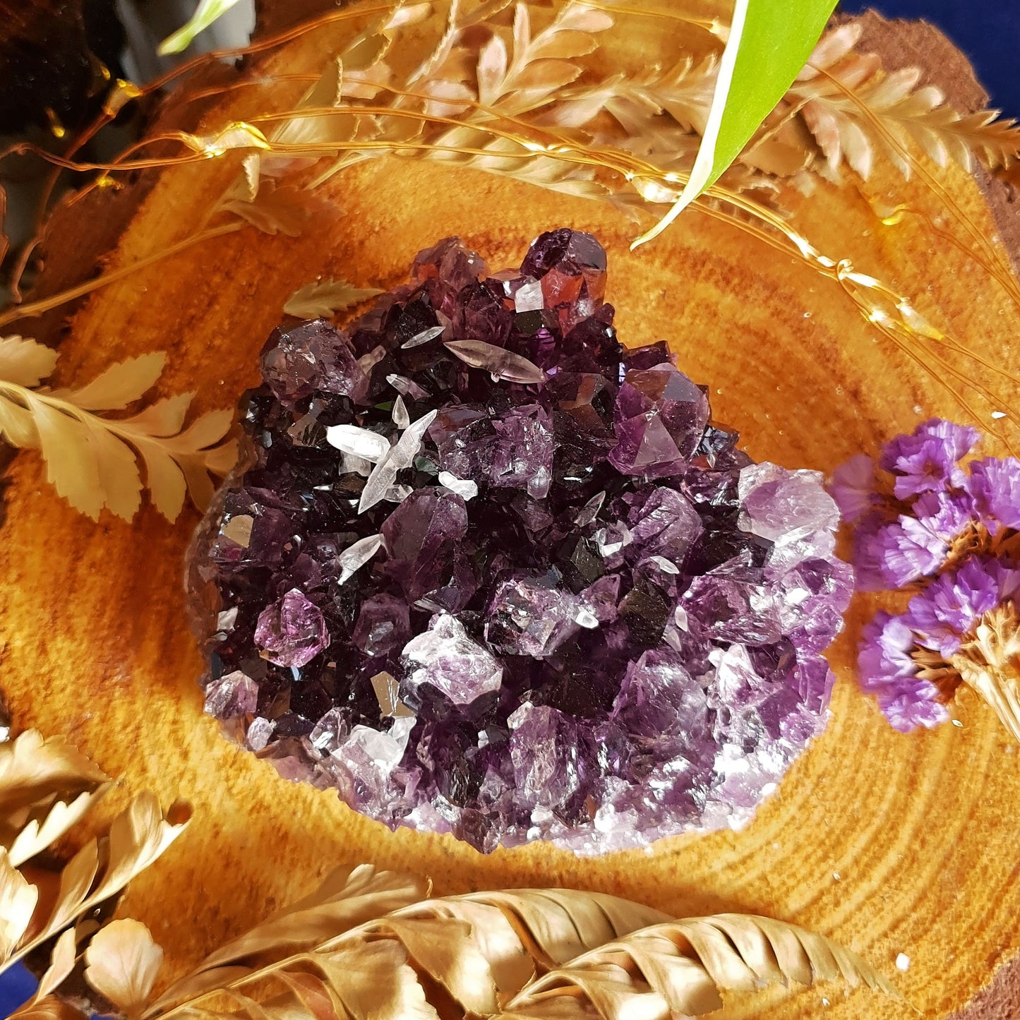 Amethyst Cluster -#7