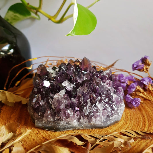 Amethyst Cluster -#7