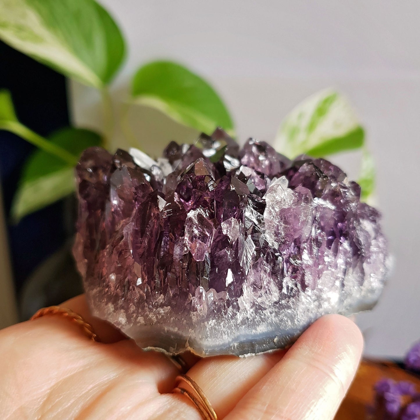 Amethyst Cluster -#7