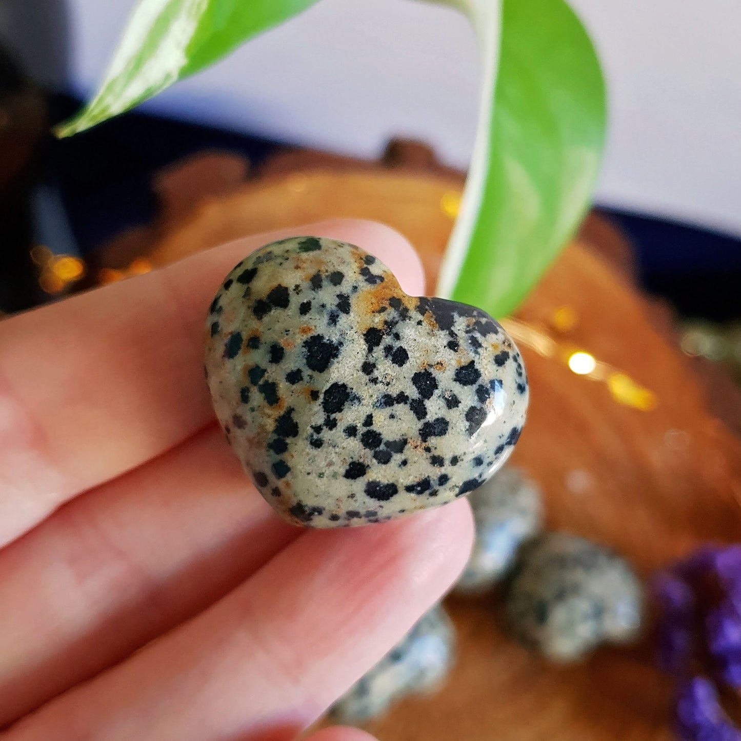 Dalmatian Jasper Polished Heart