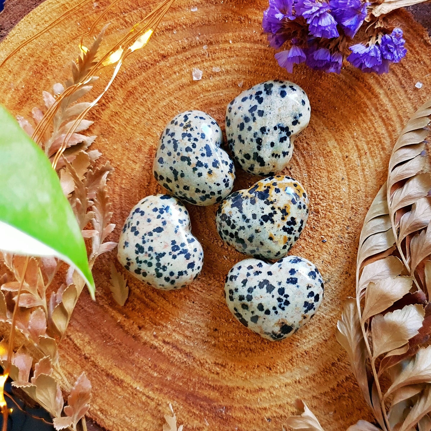 Dalmatian Jasper Polished Heart