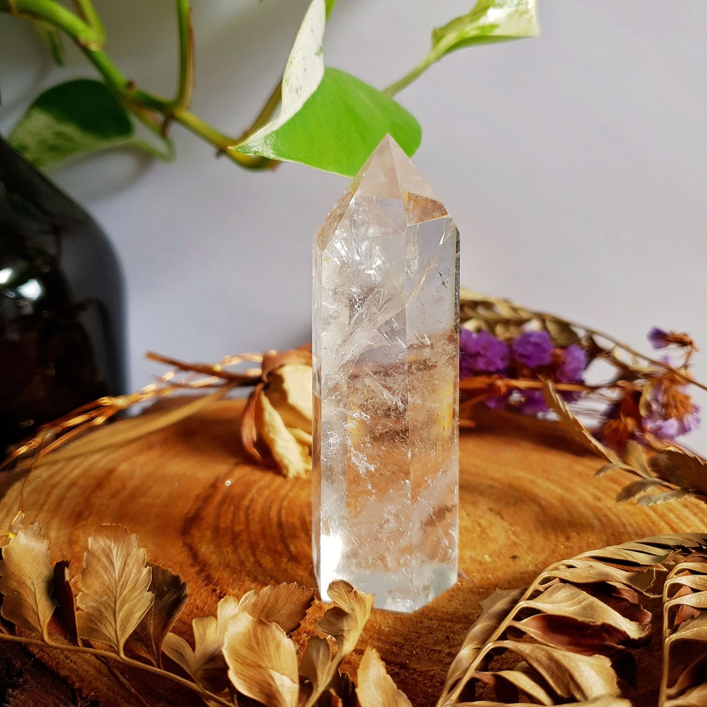 Clear Quartz Polished Point #2