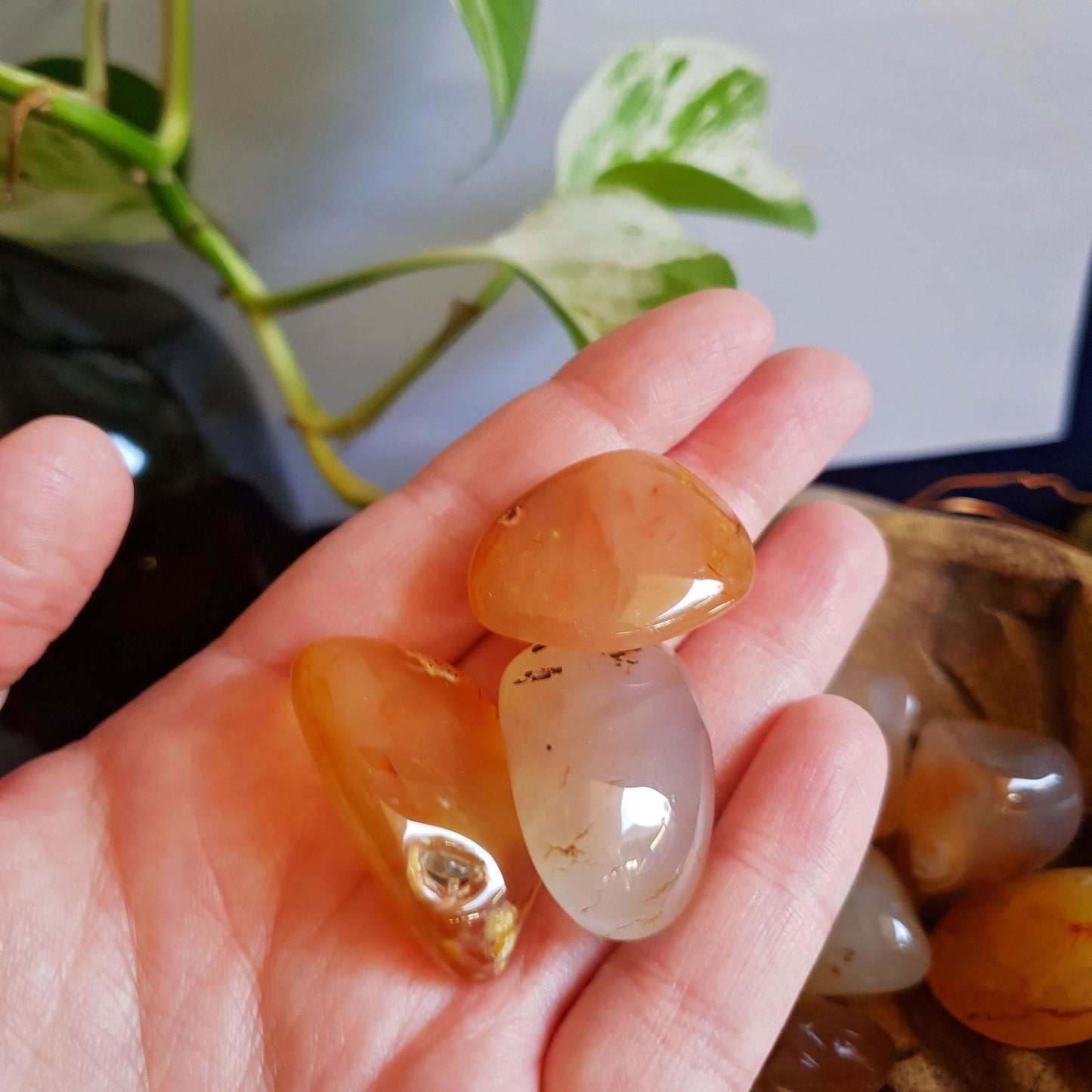 Carnelian Tumbles - Tumbled Stone -  Polished - Piece - Natural  - Geode - Crystal - Gemstone - Rock - Decor - Orange - Healing - Chakra