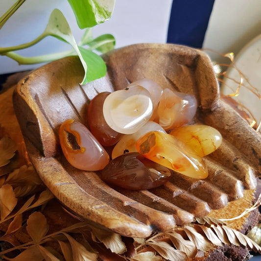 Carnelian Tumbles - Tumbled Stone -  Polished - Piece - Natural  - Geode - Crystal - Gemstone - Rock - Decor - Orange - Healing - Chakra