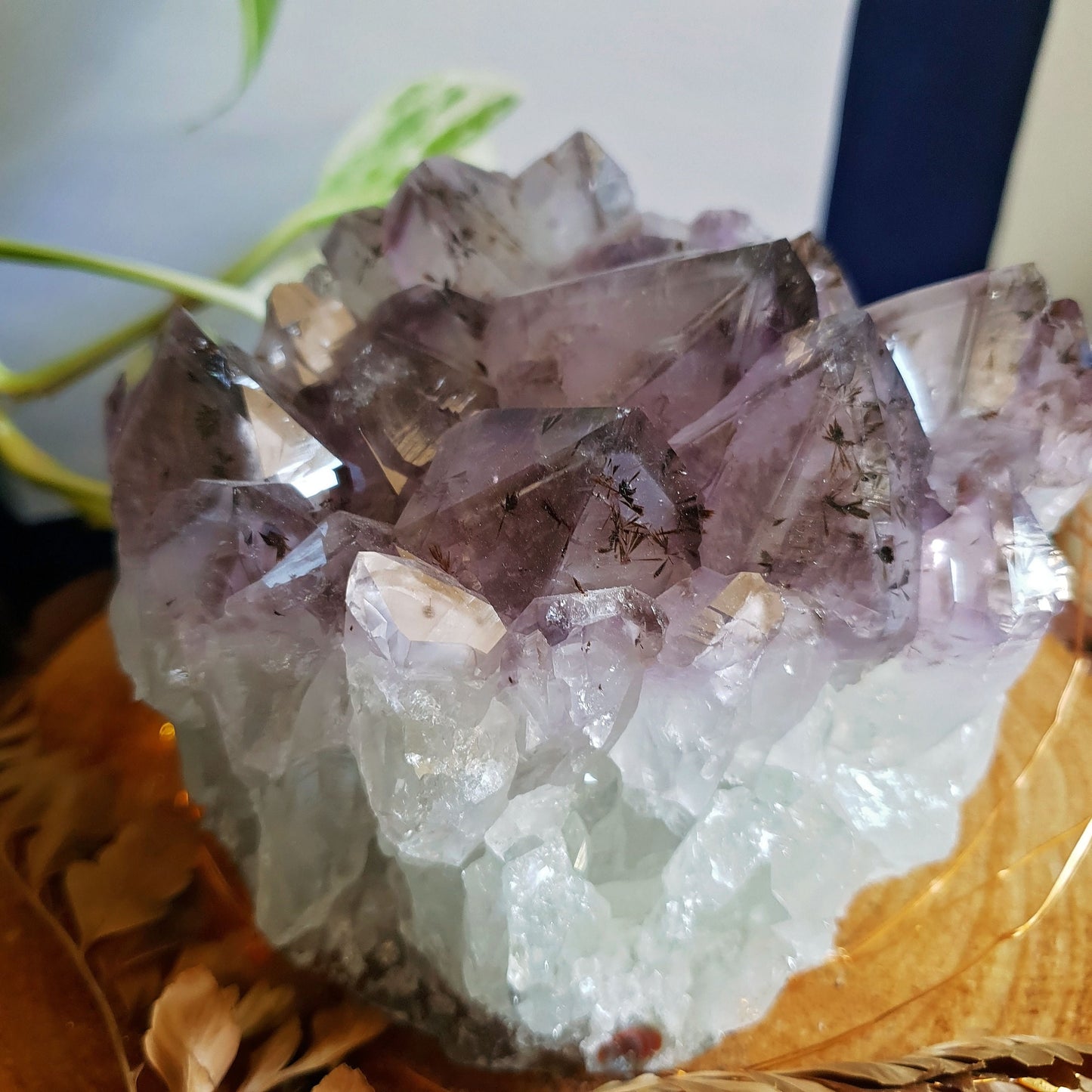 Large Amethyst Cluster -#8