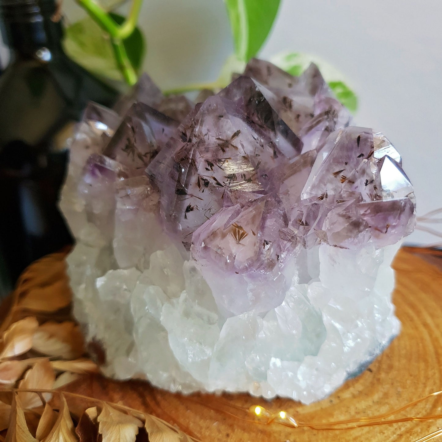 Large Amethyst Cluster -#8