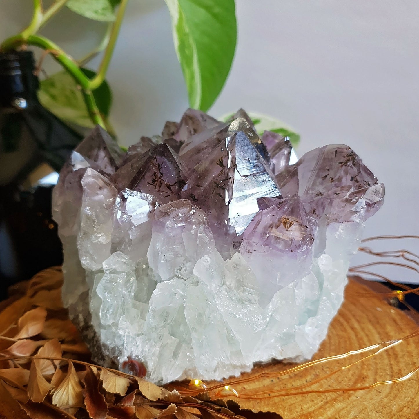 Large Amethyst Cluster -#8
