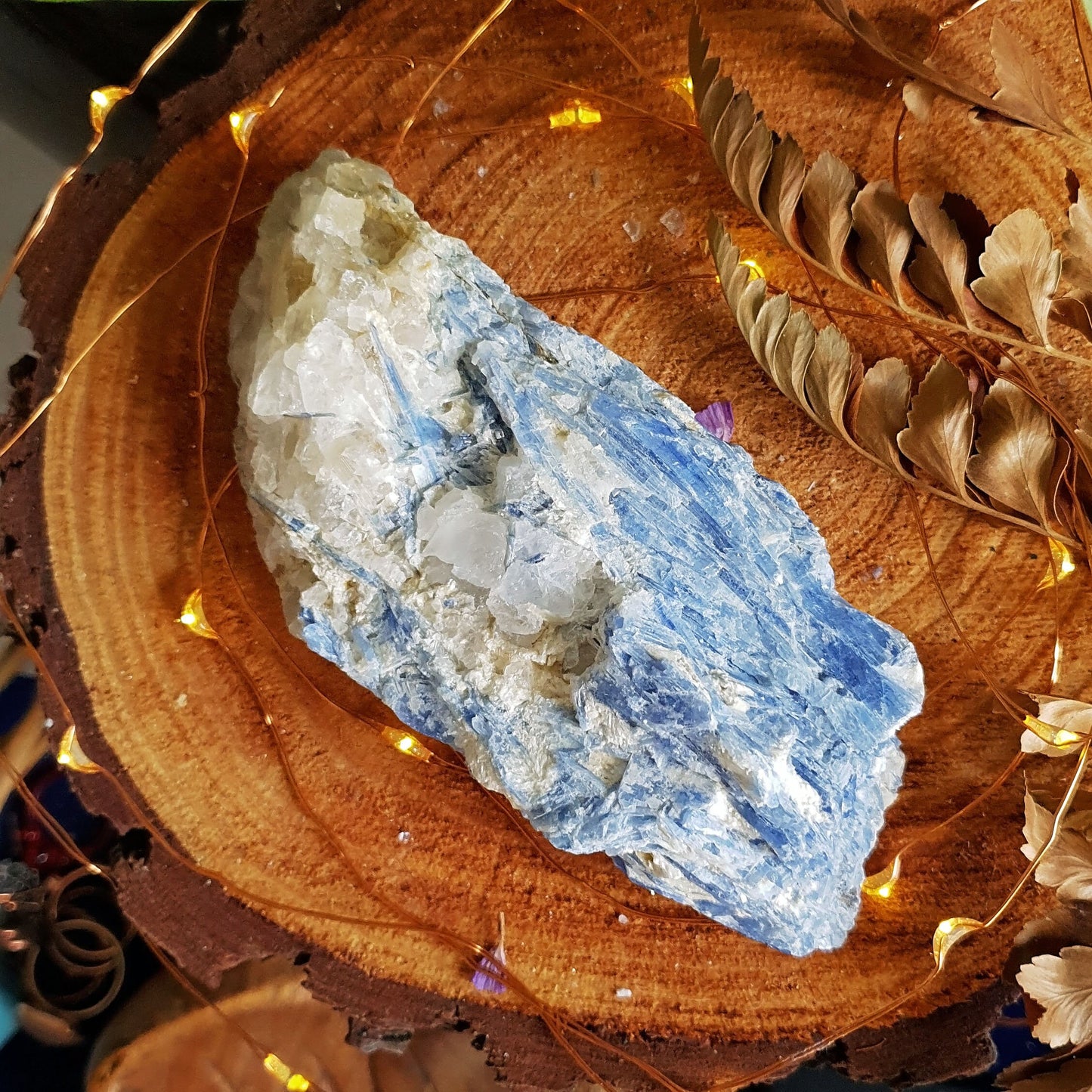 Blue Kyanite Blade Cluster - Raw - Natural - Crystal - Chakra - Gemstone - Chunk - #3