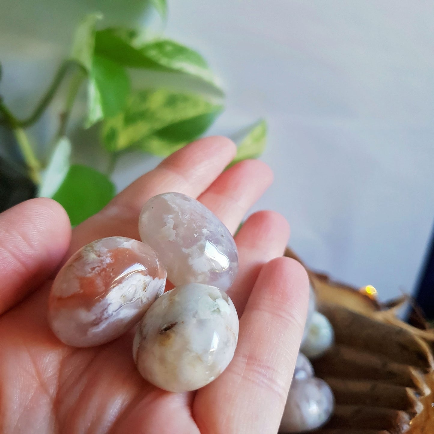Flower Agate Tumbles