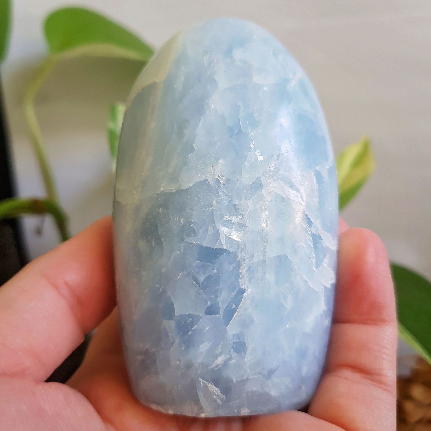 Blue Calcite Polished Freeform #1